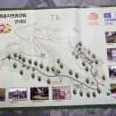 청송자연휴양림 이미지