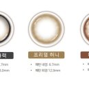 레이안경 이미지