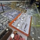 이안경 전남대점 이미지