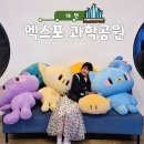대전 야경 명소｜엑스포공원 음악분수·한빛탑·꿈돌이하우스 후기