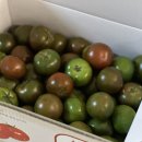 흑토랑농장 이미지