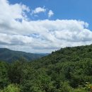 (주)천0