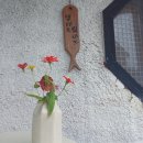 빌라 드 웨이브 이미지