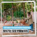 봉서초등학교 병설유치원 이미지