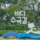 송림미트 이미지