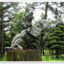 돈키호테-무식한 소 이미지