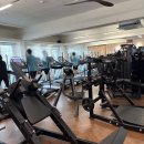 노원역 PT 마들역 헬스장 꿀핏휘트니스 운동 후기