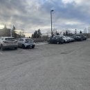 나무한그루 이미지