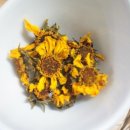 또래울협동조합 이미지