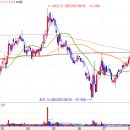 에이치에스화성(주) 이미지
