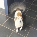 춘천명가숯불닭갈비막국수 이미지