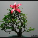 홍운농장 이미지