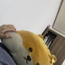 강내이불