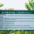 트리플로지움기동승마장