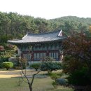 용호2동 체육공원 이미지