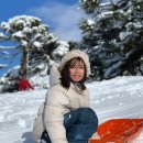 인증넷