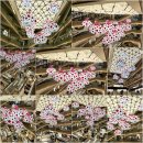 헬로,안양위드러브 | 안양 평화공원 헬로, 안양 위드 러브(by 쿠사마야요이)