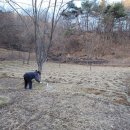 이현 1농장 이미지