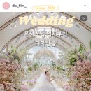 W.20 본식스냅 추천ㅣ'디아필름' 색감/구도 맛집 계약후기 (짝꿍코드 O)