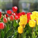 임자농협협동조합 이미지