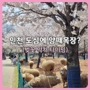 두암제2근린공원 공중화장실 | 인천 늘솔길공원 후기｜양떼목장·주차·피크닉 꿀팁 + 벚꽃 막차 타이밍