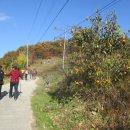 영화마을 버스정류장 이미지