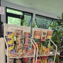 삼육사로16 | 동두천 아이와 가볼만한 곳 / 수영장이 있는 카페와바