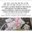 영신전기조명 - 달서구 도원로동길 22 | 영신전기조명