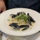 용인나무이야기 이미지