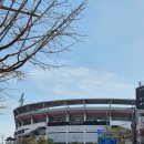 장안마이스터종합정비 | [수원 KT위즈파크] 3루 응원석 317구역 9열 89,90번 좌석 | 주류 반입 정보 | 원정팀 스토어 정보