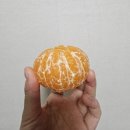 꼬꼬농장 | [맛집] 이꼬꼬 과일가게_레드향 후기