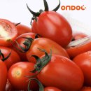 건양유통 이미지