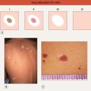 평화동-02 이미지