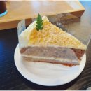 노바운더리 이미지