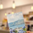거제도게스트하우스 | 거제 수국 스냅투어, 추억을 담다.(거제도 게스트하우스 ,지브로하우스)