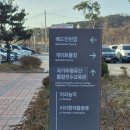 배산실내체육관 배드민턴장 | 운동으로 시작하는 새해 (배산실내체육관 김동문 배드민턴장)