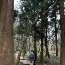 한라산 만세로점 | 11월 제주 한라산 성판악코스 후기 : 다시 안가요, 예.