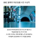 진채원 | 눈부시게 빛날 오늘 밤을