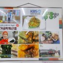 익금해수욕장2 | 고흥 거금도 맛집 TV출연 매생이호떡&amp;유자호떡!거금특산품 후기(익금해수욕장 여행코스 추천