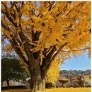 하점면-3 | 강화도 하점면 당일치기 가족여행코스 BEST 4ㅣ 실내 박물관부터 현지인 추천 카페까지