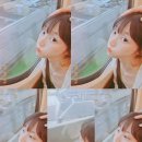 샤인해운항공여행 | 2박 3일 오사카여행 DAY 1 ㅡ 피치항공후기 라피트오사카공항에서시내