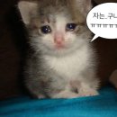 주삼