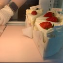 CREAMLABEL | [공지] [성수 카페] 크림라벨 서울숲 본점 딸기케이크와 맛있는 커피 후기 💕