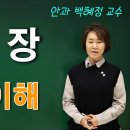 백내장의 모든 정보 ✔ 정의 / 빈도 / 증상 / 원인 / 진단 / 치료 /수술 / 합병증 이미지