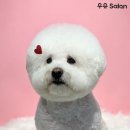 주흥15길 16-1 이미지