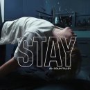 stay(스태이) 이미지