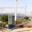 일로역 Daum카페
