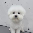 하이뭉치 유치원 이미지