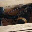 뉴보문 포레스트 이미지