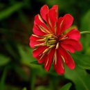 안흥콩터 이미지